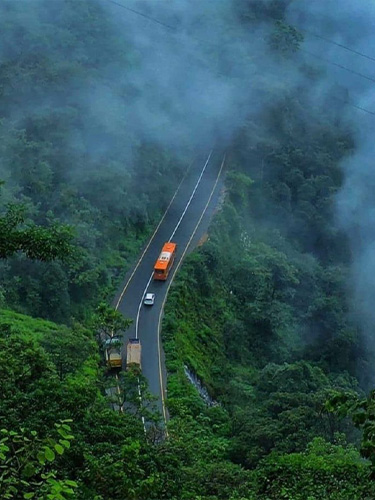 Wayanad forest trails