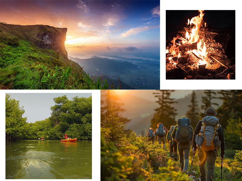 Wayanad Adventures Lodge