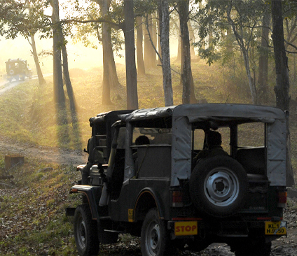 Jeep Safari