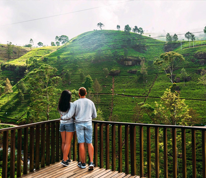 Sight Seeing
