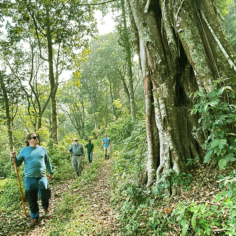 Chembra Peak Trek